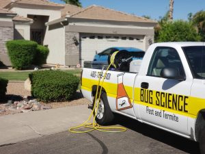 Exterminator services in Mesa AZ